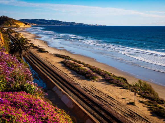 Sunset at the Terry pine and Del Mar beach, spring, San Diego, CA